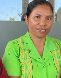 Alfisia Pinul, SE